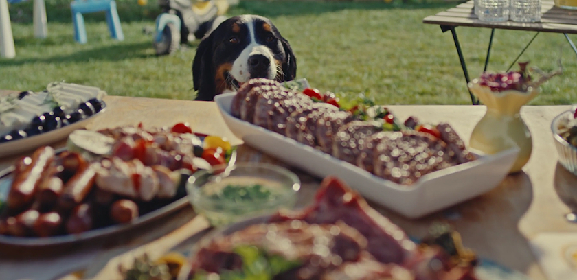 TVC IDEA Mesto za sve Summer Grill